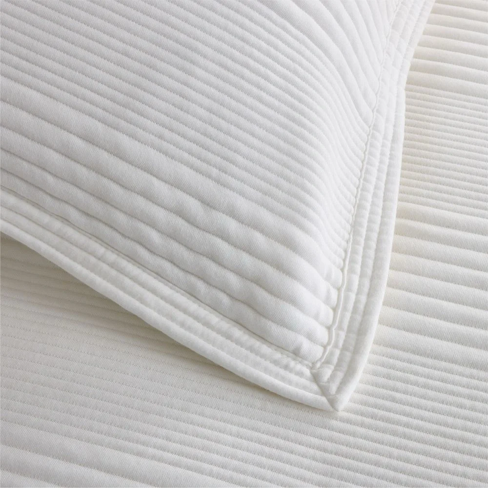 West Elm Set of 2 Standard Cotton Cloud Jersey Shams - White